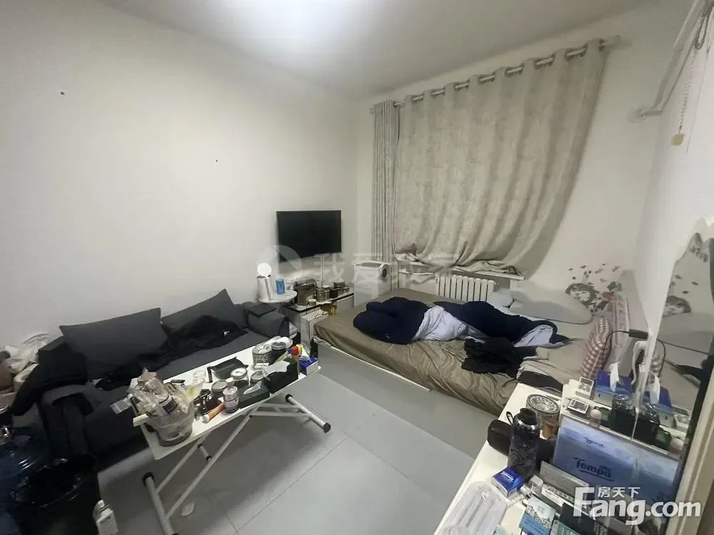 整租·四惠·八里庄东里·1室·1厅