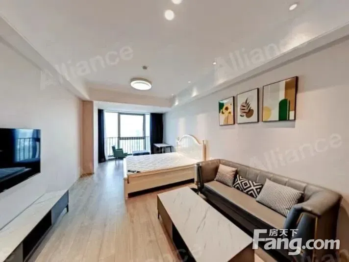 新上星悦城1室1卫1厅55平精装修2600元/月随时看房签约