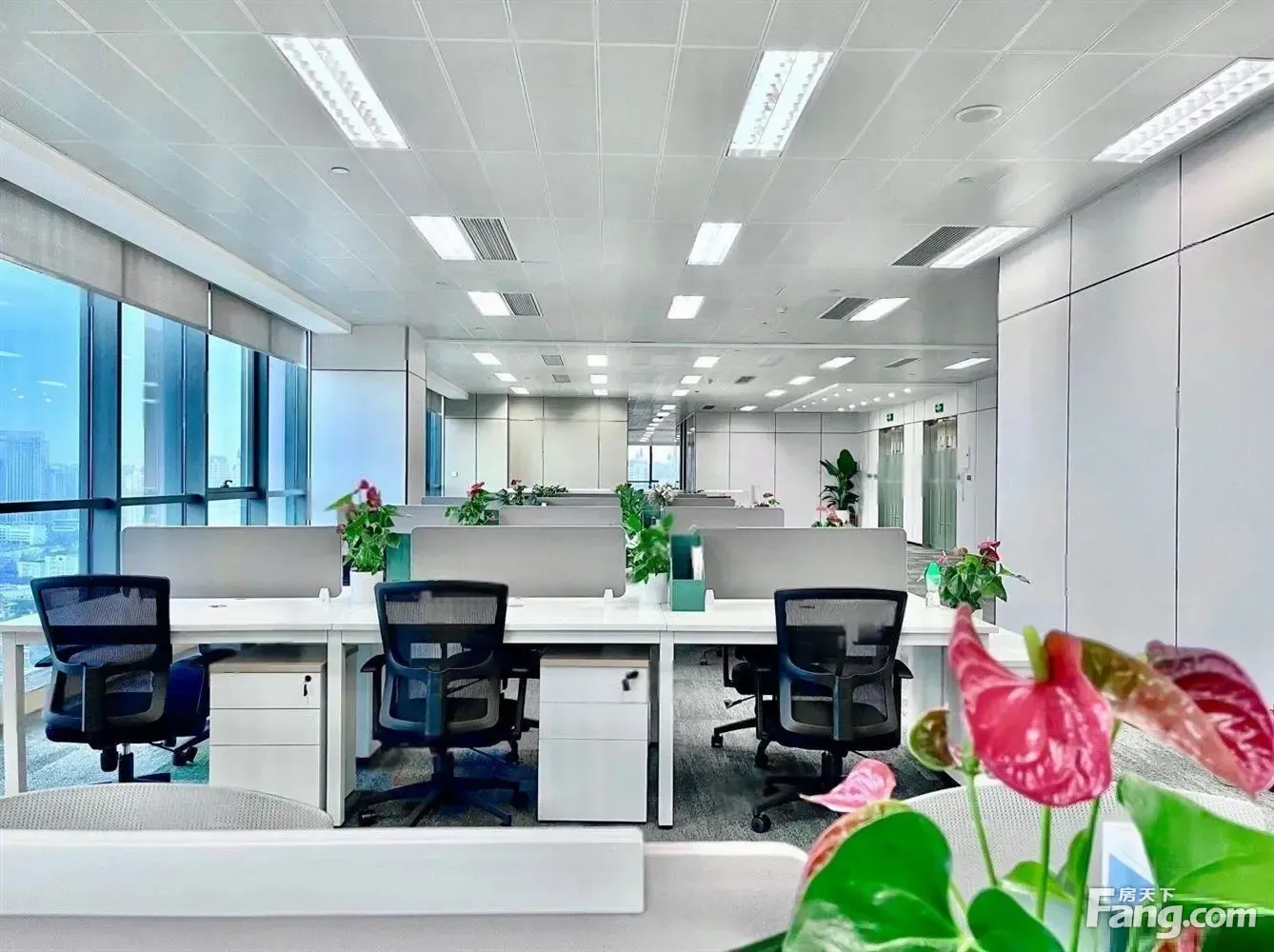 大气视野丨华府大道丨天府新区的产权丨高新区的商圈丨