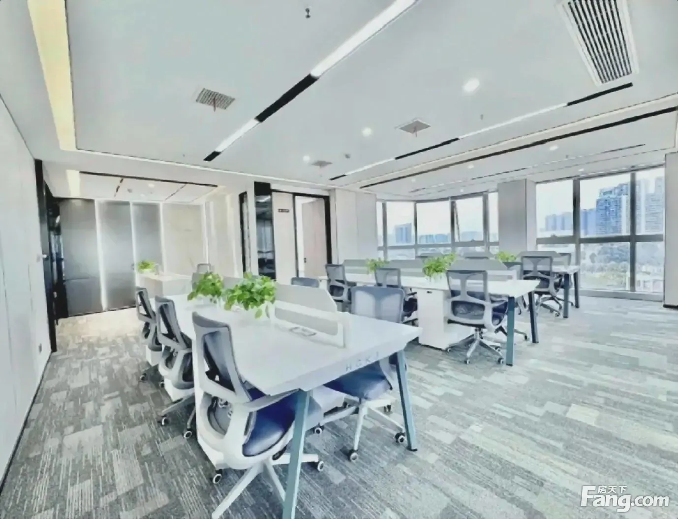 新川找我!精装清水均有 随时看房 大小面积可选