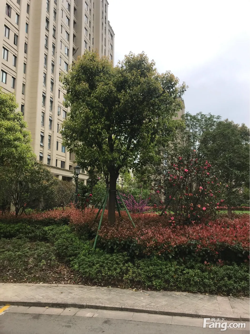 鄞州邱隘明湖花苑四期毛坯整租