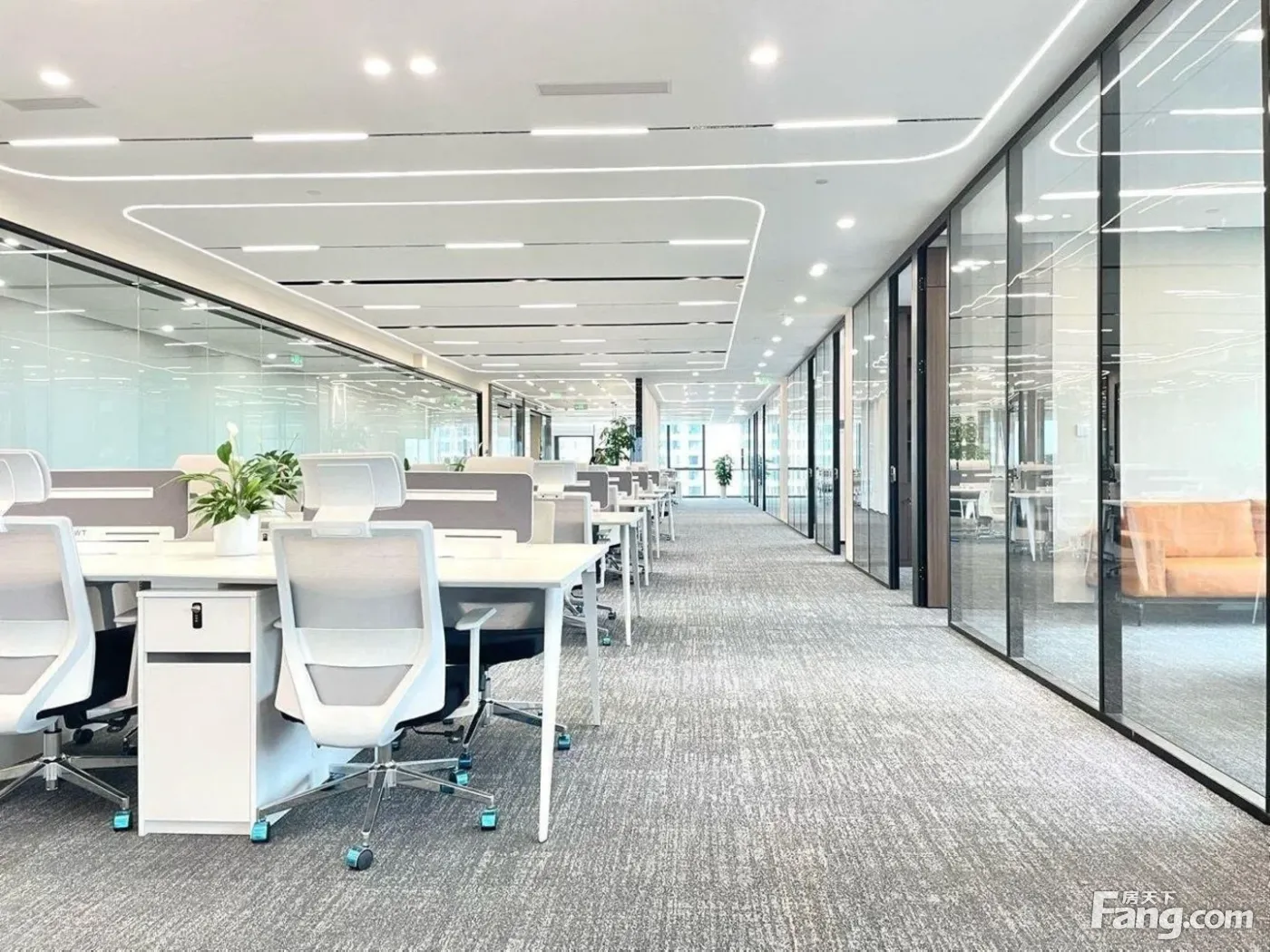 华西医院旁超甲!医疗企业培训!药企附属产业丨美学大健康