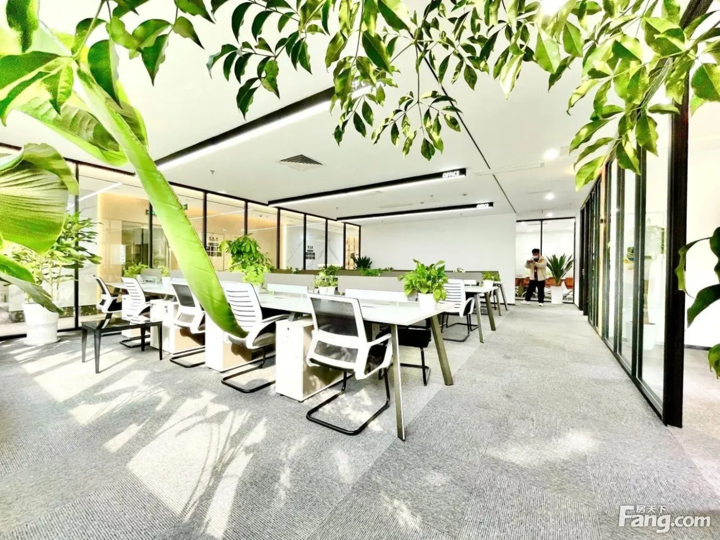 免佣选址丨红星国际·电梯口5隔间30卡丨市中心·低公摊好房!