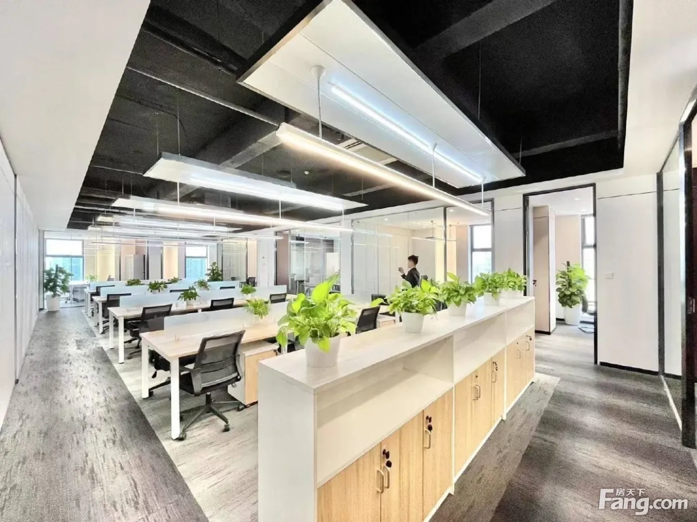 锦江区金石路!建筑律所实业!7隔间24工位 双面采光无加时费