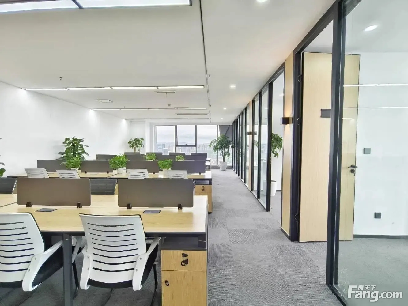 特价50元!免佣选址·5隔间32卡位轻奢精装·东郊记忆旁纯写