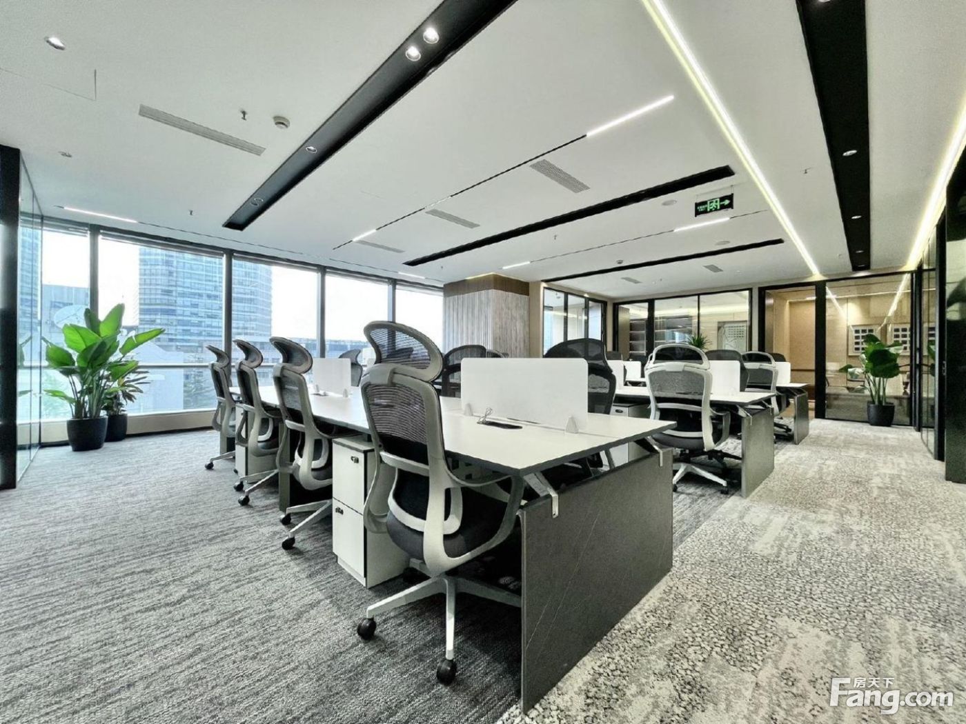 天府新区海昌路站!豪装商务7隔间30工位 正电梯口·双面采光