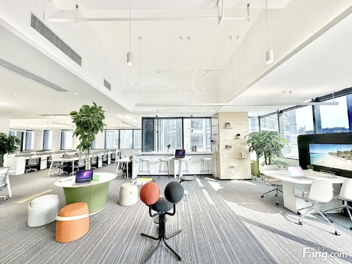园区半层!8隔间150工位丨天府五街·科技聚集!静谧舒适办公