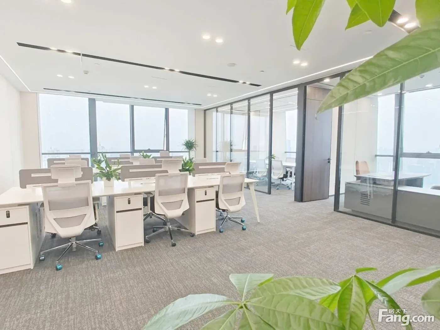 双面采光,天际视野丨4隔间18工位丨正对电梯口!建设路商圈