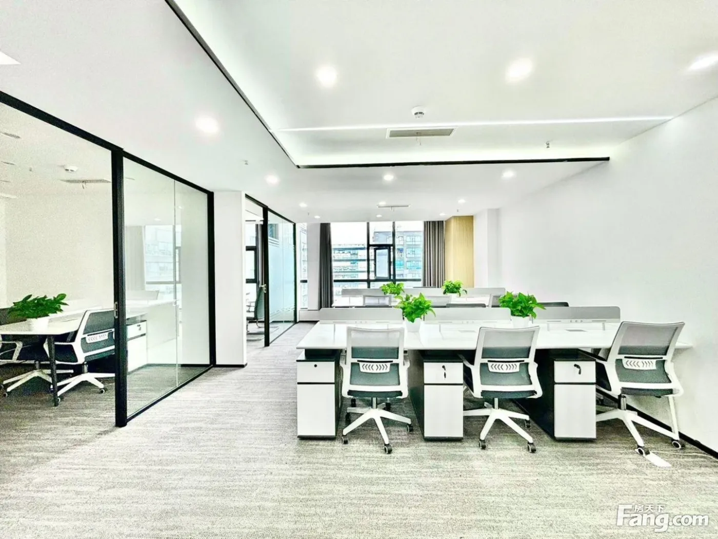 武青南路园区丨环境舒适丨2隔间18工位丨户型方正 落地采光