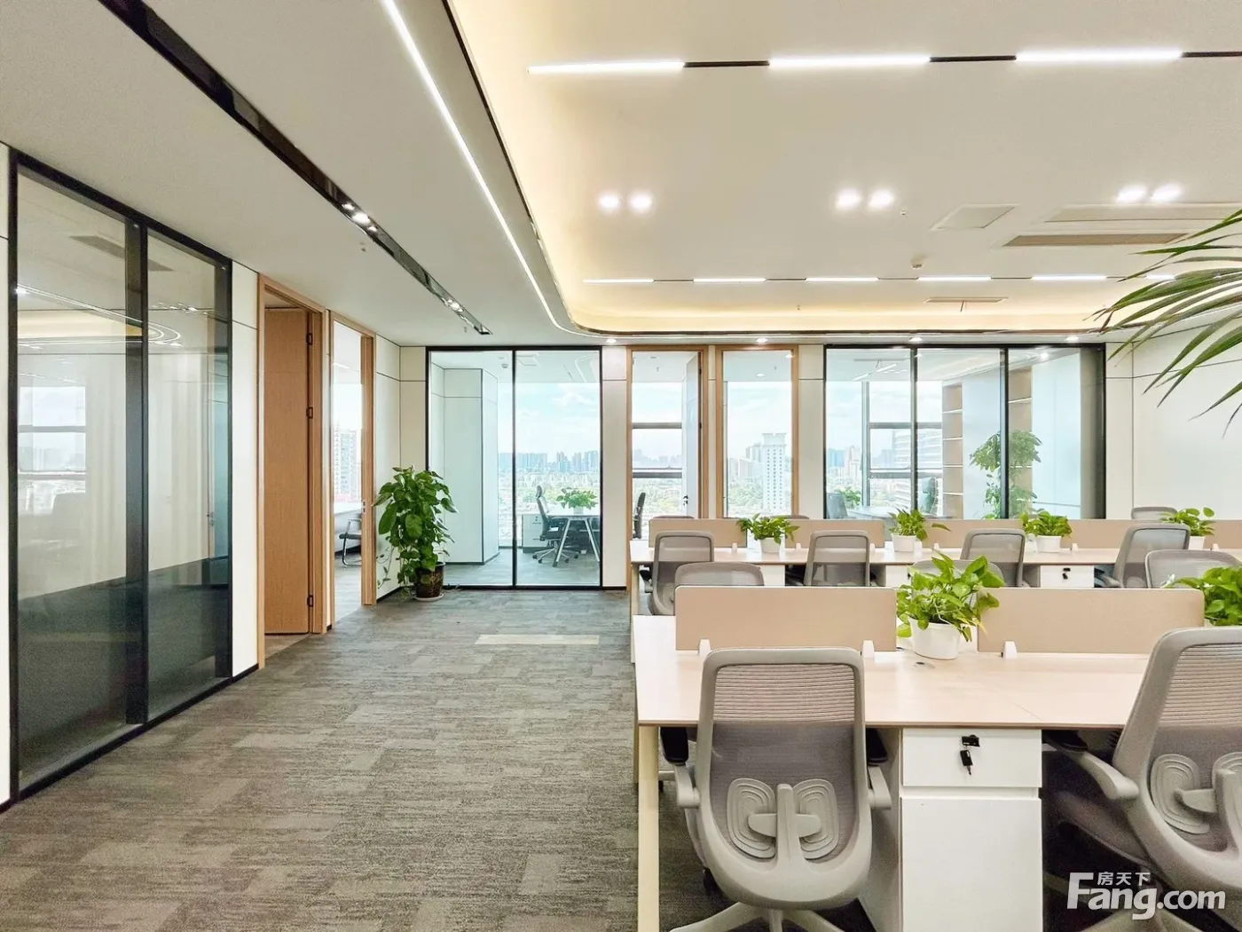 世纪城!特价上再优惠!豪装4隔间30工位,清爽风格·双面采光