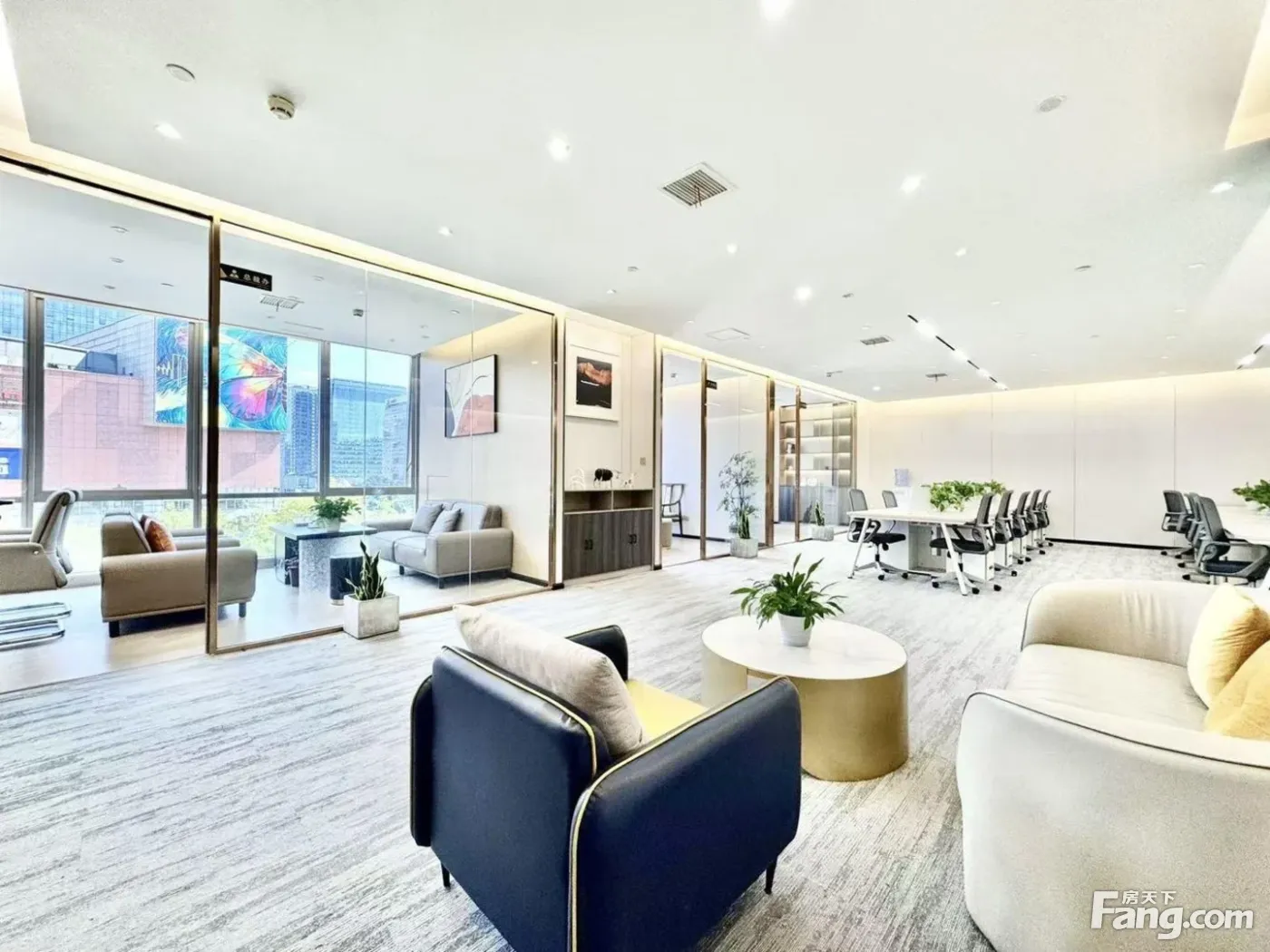 轻奢艺术装修丨大气老总室·全景采光丨5隔间30卡位·金融城!