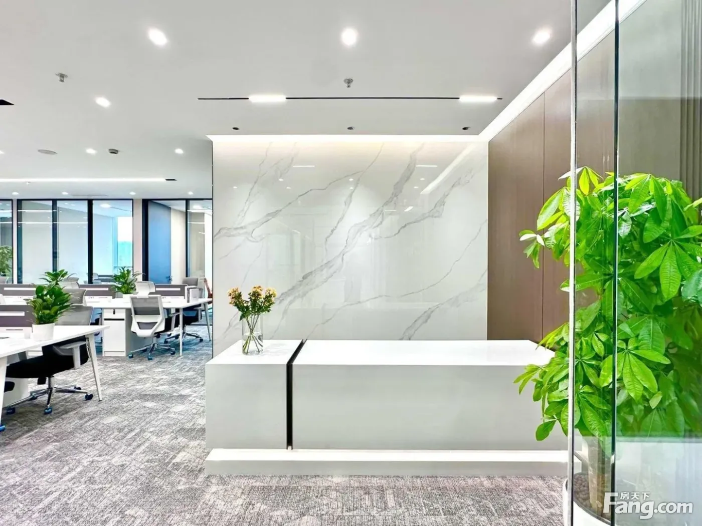 新川精装现房·艺术装修(4隔间20卡位)接待办公丨空调自控!