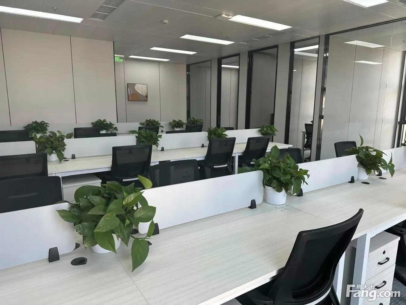 草桥 首农双创产业园 可以定制装修 多大面积都有 不限业态