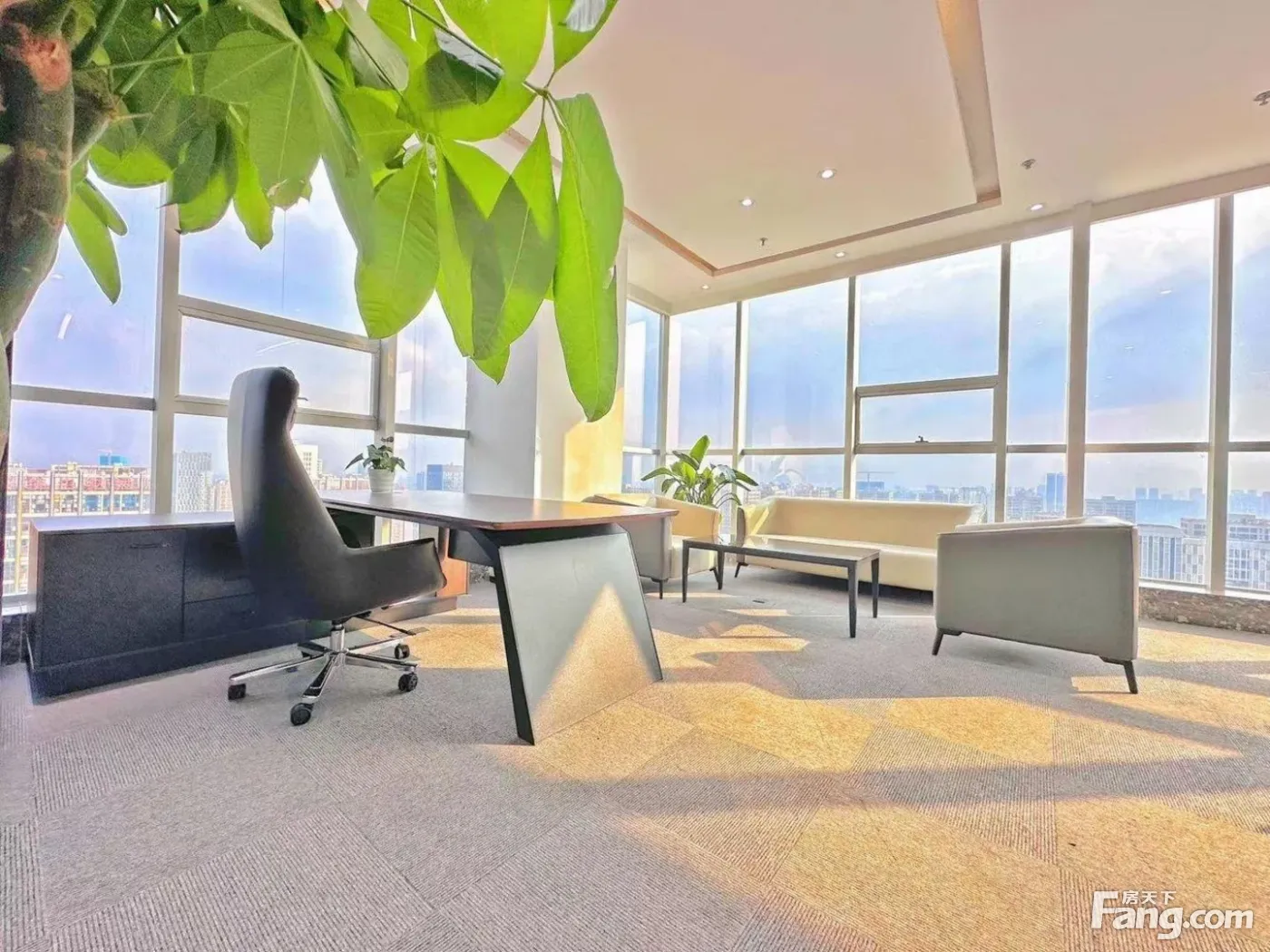 南北通透采光好丨成华区整栋招租 大小户型都有丨龙潭寺呈祥国际