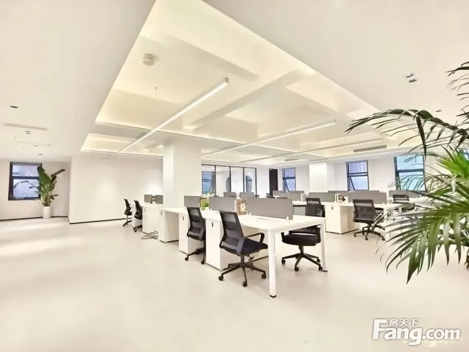 高新整层!双会议室·双工区布局(四面采光)10隔间125卡位