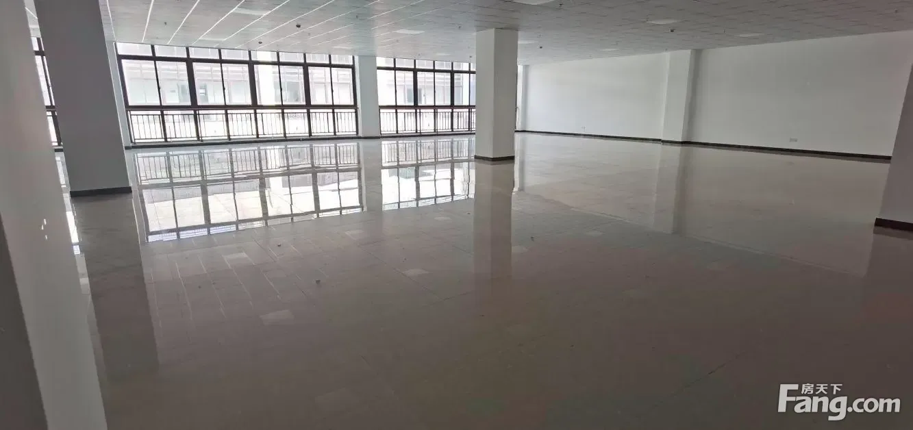 业主自持,1000独栋出租,2000平整层可做生产轻加工