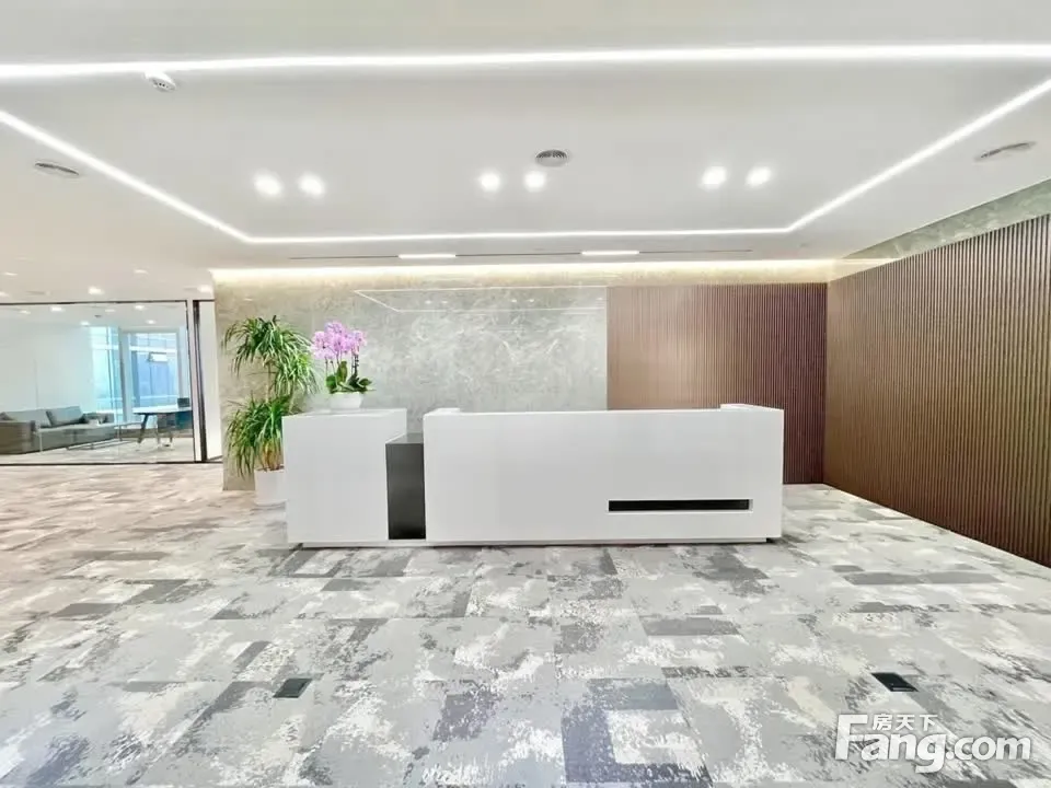 豪装选址(金融城)大气前厅·10隔间40卡位·适合律所·金融