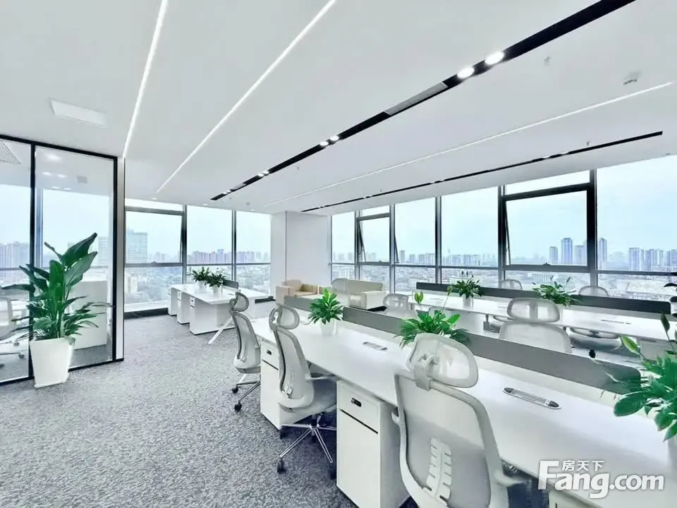 无遮挡视野·2.5环理工大·4隔间20卡位无加时费·传媒直播