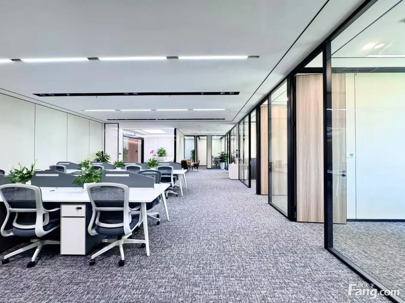 金融城东·集团选址(电梯口·商务装修·接待优选)8隔间40卡