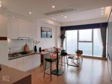 郫县准现房 水电气三通套一 单价6500左右 租金1500