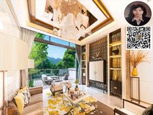 沙田 九肚山顶生活圈 全新别墅 私人电梯 !低税购香港房