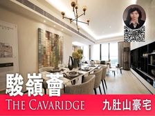 沙田 九肚山顶生活圈 全新豪宅 !低税购香港房 人无我有