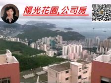 山頂 南区豪宅 君临气势 公司房税0.2% !低税购香港房