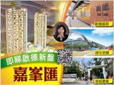 启德站 生活圈新建设 尖子房 商場配套! 低税购香港房