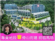 东半山 新鸿基贵气大宅 前临马场 环山拥抱 居高临下