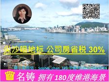 尖沙咀 高铁站 地标复式180度维港海景 公司房税0.2%