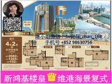 九龙站 高鉄站 新鸿基楼皇凱旋門 维港海景天际复式户