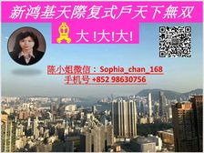 九龙站 高鉄站 新鸿基天玺 天际复式 人无我有 低税购香港房