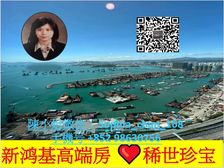 九龙站 新鸿基天玺 优质四房海景房 人无我有! 低税购香港房