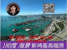 九龙站 新鸿基天玺 优质四房海景房 人无我有! 低税购香港房