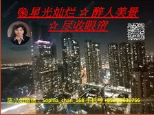 九龙站 高鉄站 上盖 靓园景两房 人无我有! 低税购香港房