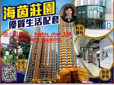 日出康城 港铁站上盖新房 商场配套 英式庄园风格