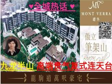 九龙半山 朝南优质贵气大宅 先租后买!低税购香港房