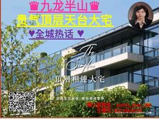 九龙半山 朝南 优质贵气大宅 先租后买!低税购香港房