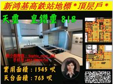 九龙站 高鉄站新鸿基天玺顶层户 精装修高增值! 低税购香港房