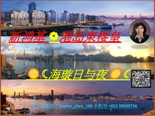 北角 新鸿基楼皇全维港景 先住后付! 低税购香港房