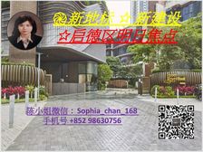 启德站 生活圈新建设 先租后买 人无我有! 低税购香港房