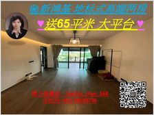 九龙站 高铁站 新鸿基凯旋门 地标小区两房! 低税购香港房