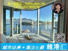 南昌站 城市绿洲380米海滨长廊维港景 !低税购香港房