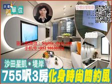 火炭 坐拥铁路站 衣食住行商場配套! 低税购香港房 人无我有