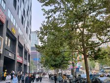 朝阳门雅宝路临街一层12米门头可餐饮烟酒美容零售营业厅等