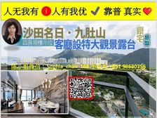 沙田 九肚山 饱望辽阔 马场及城门河景 吐露港海景