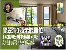 港島坪洲 小岛风情世外桃园 专才团购牛B ! 低税购香港房