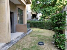 嘉涛湾 联排别墅 带商铺!