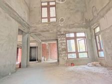 金山湖笋盘独栋别墅来了 中洲中央公园独栋别墅