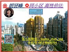 何文田 朗贤峰 高性价比尖子房 没有天花板楼价